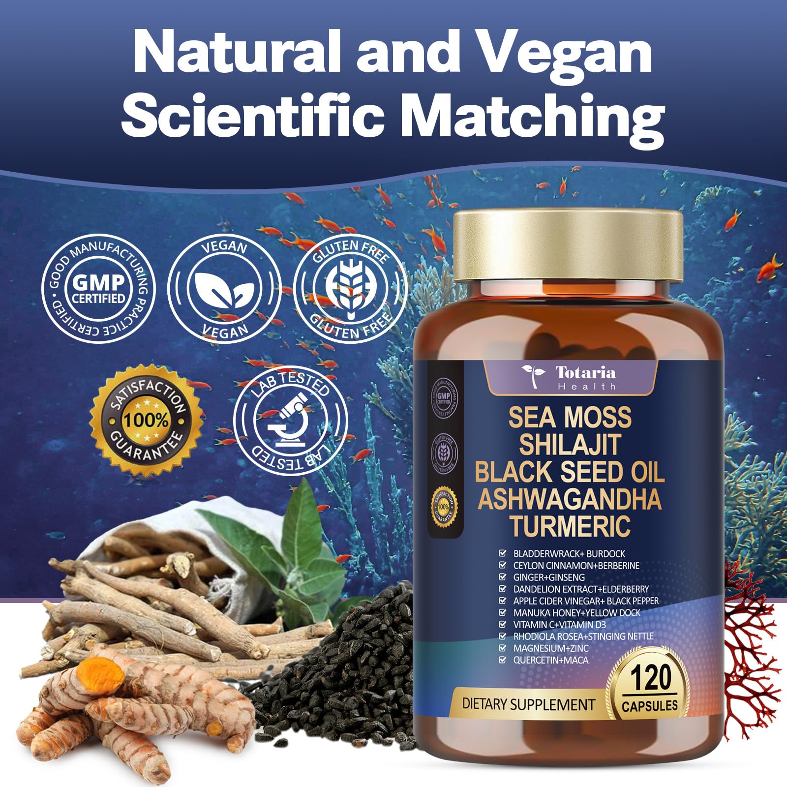 Lifestyle image of Totaria Sea Moss Capsules on a kitchen counter