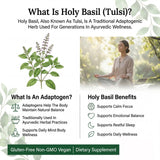 Lifestyle image with PRISTINE'S Holy Basil Supplement on a table