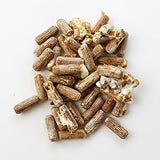 Lifestyle scene of growing Hericium Erinaceus mushrooms