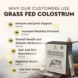 Lifestyle scene with Ancestral Supplements Colostrum Powder on a kitchen counter