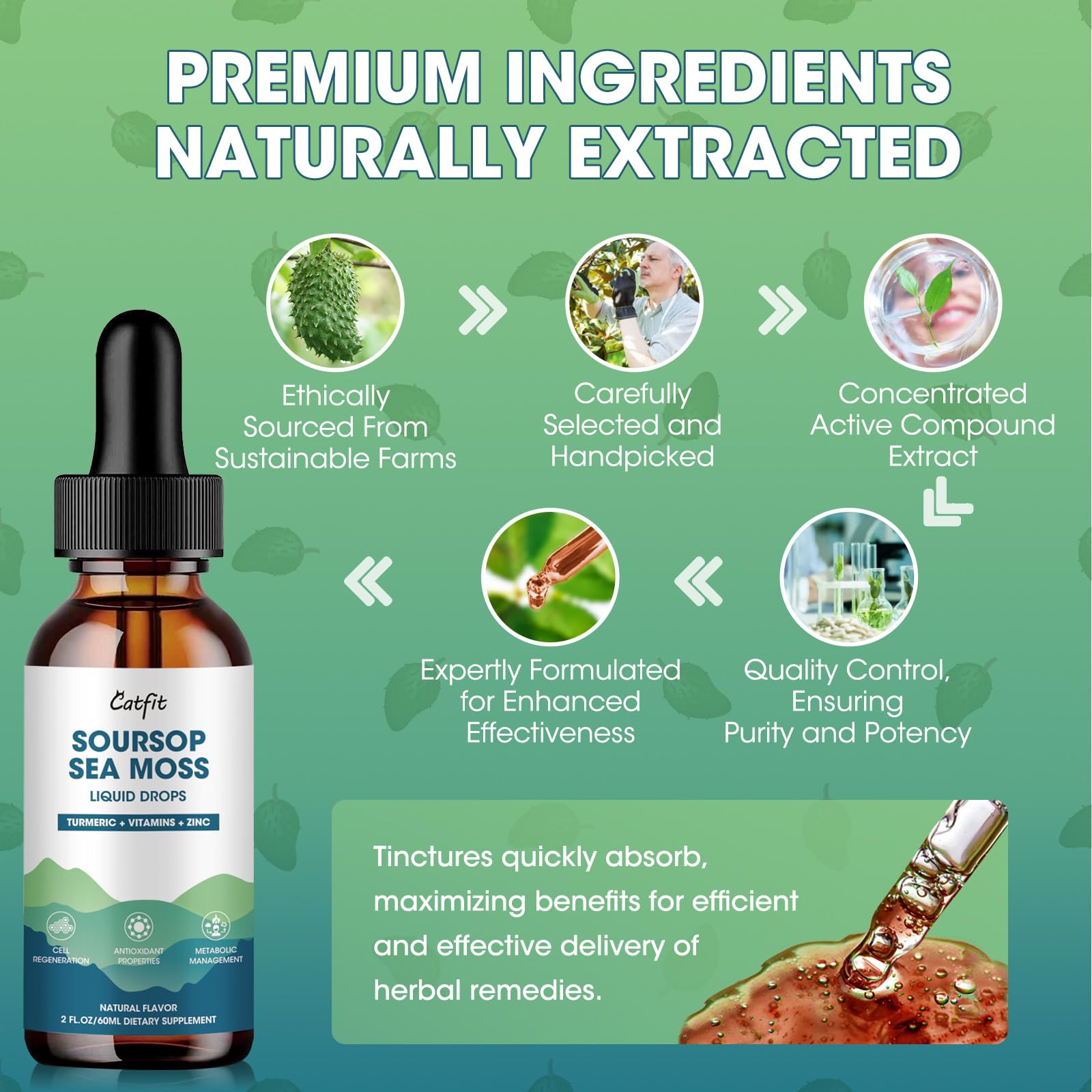 Lifestyle scene with Catfit Liquid Vitamin & Mineral Drops