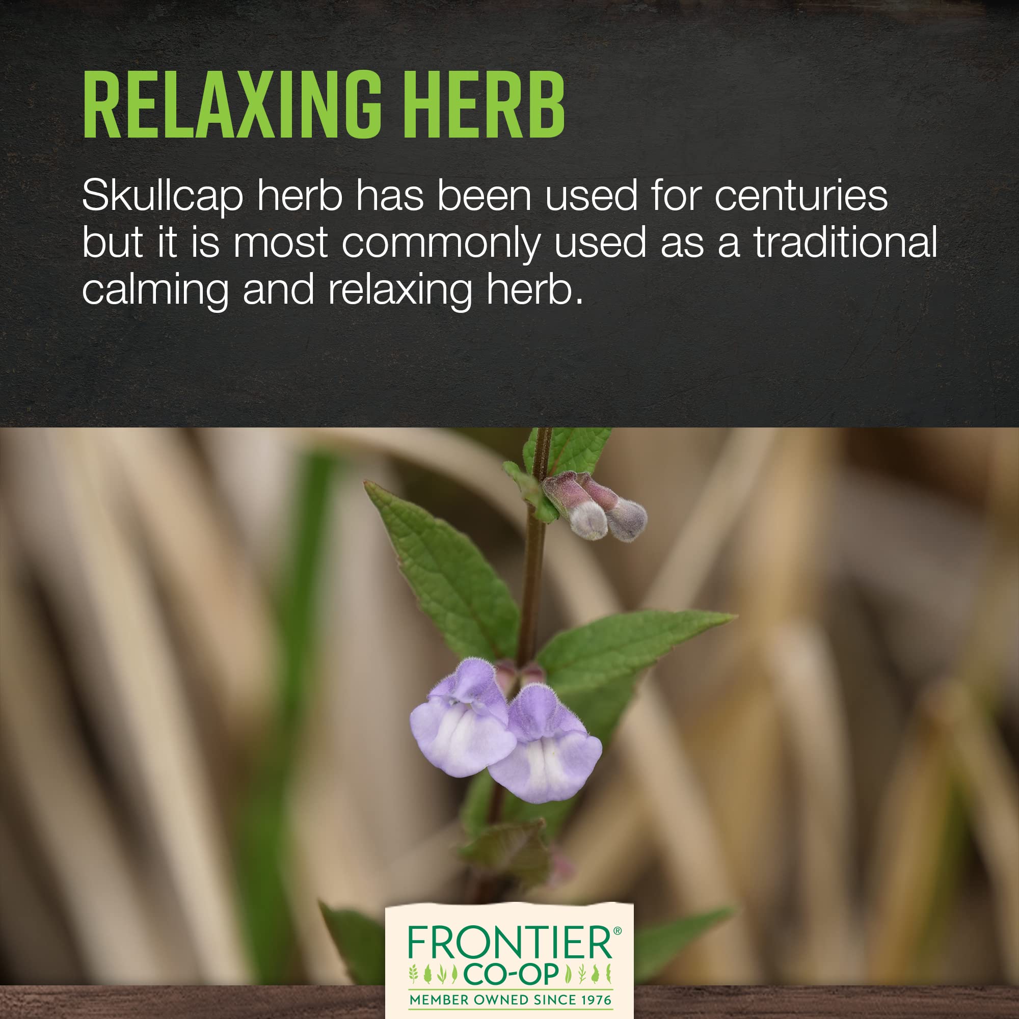 Lifestyle scene with Frontier Co-op Organic Skullcap Leaf and tea preparation