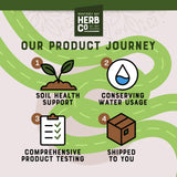 Lifestyle scene with MONTEREY BAY HERB CO Ginger Root Cut and Sifted