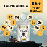 Lifestyle scene with ORBILIVE Gold Shilajit Gummies outdoors