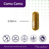 Lifestyle scene with Paradise Herbs Camu Camu Fruit Extract Vitamin C capsules
