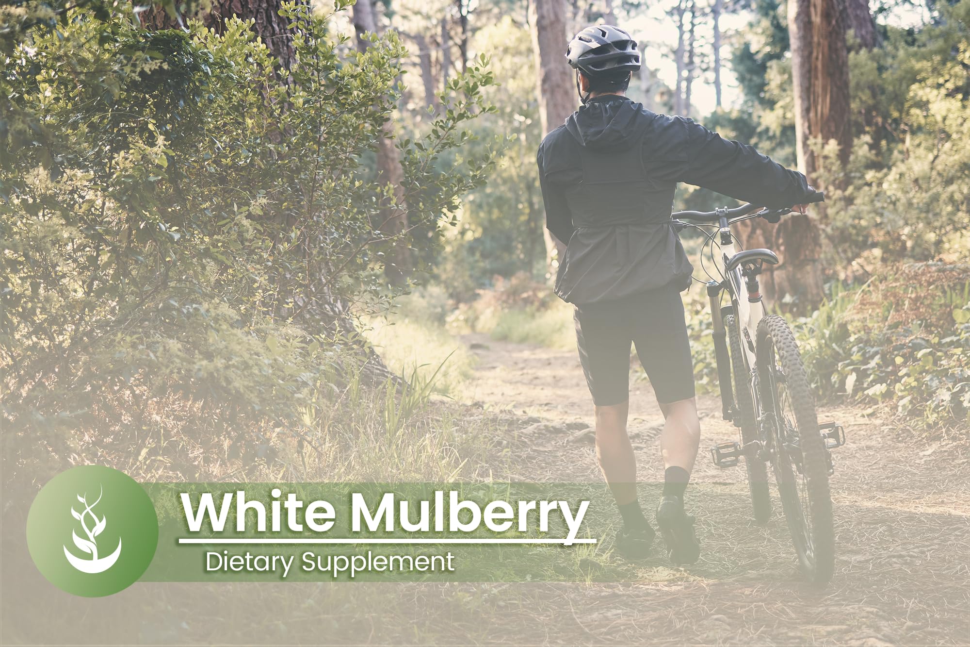 Lifestyle scene with PURE ORIGINAL INGREDIENTS White Mulberry Leaf Extract Capsules and a glass of water