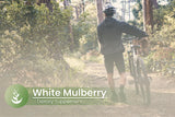 Lifestyle scene with PURE ORIGINAL INGREDIENTS White Mulberry Leaf Extract Capsules and a glass of water