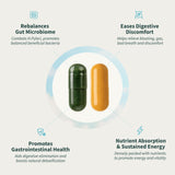 Lifestyle scene with Snap Supplements Lipase Enzyme Supplement
