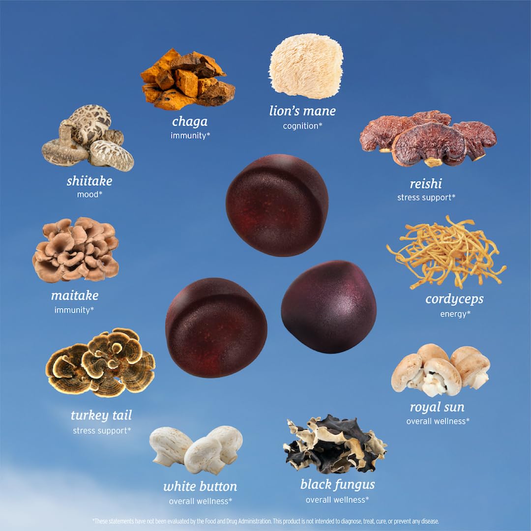 Lifestyle scene with SUNMED Mushroom Blend Supplement on a kitchen counter