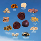 Lifestyle scene with SUNMED Mushroom Blend Supplement on a kitchen counter