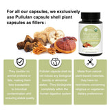 Lifestyle scene with WL Herbal Treasure Lion's Mane Mushroom Capsules
