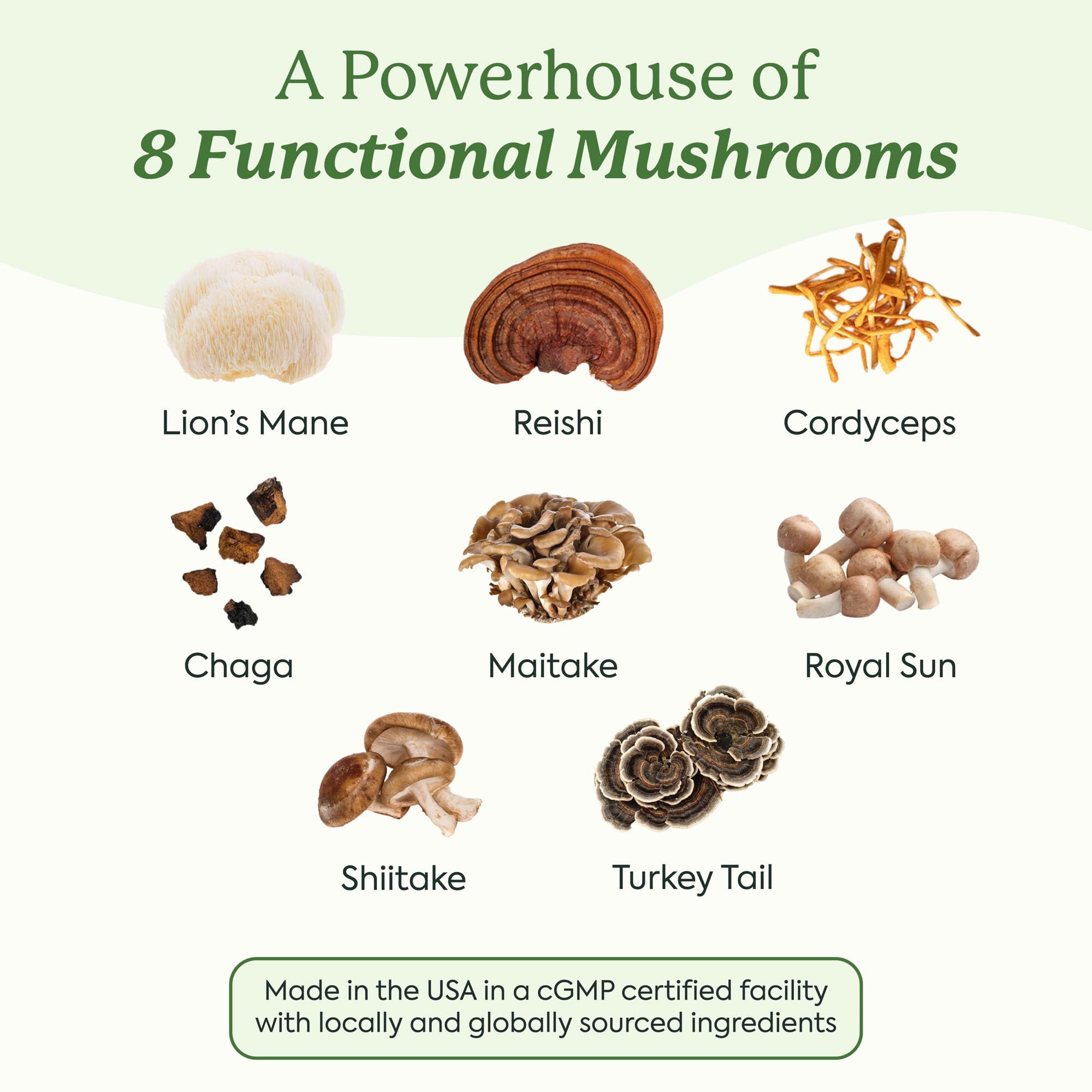 Lifestyle shot of Plant People Mushroom Gummies on a desk