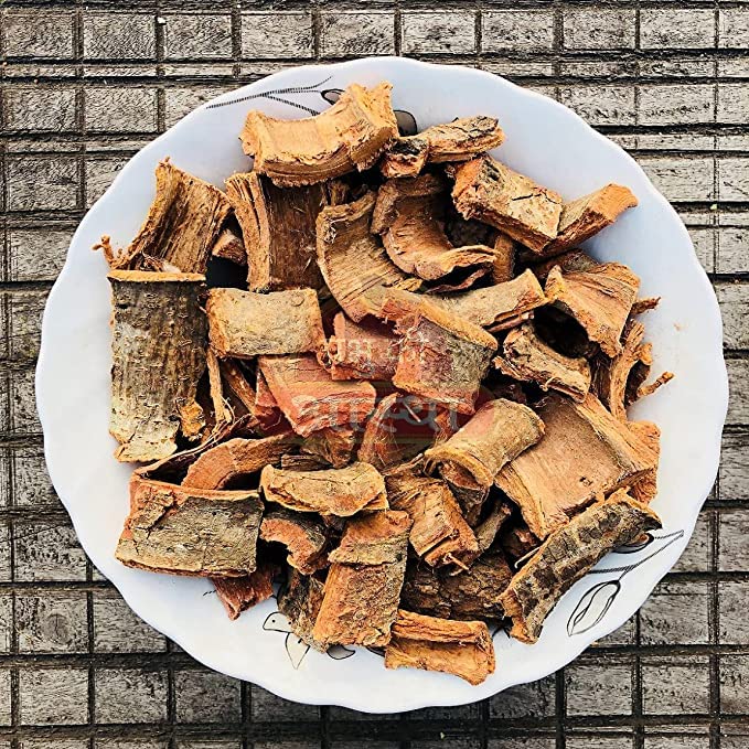 Lifestyle shot of PUB Arjuna Bark in use