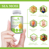 Lifestyle shot of Simple Life Nutrition Irish Sea Moss Capsules on a kitchen counter