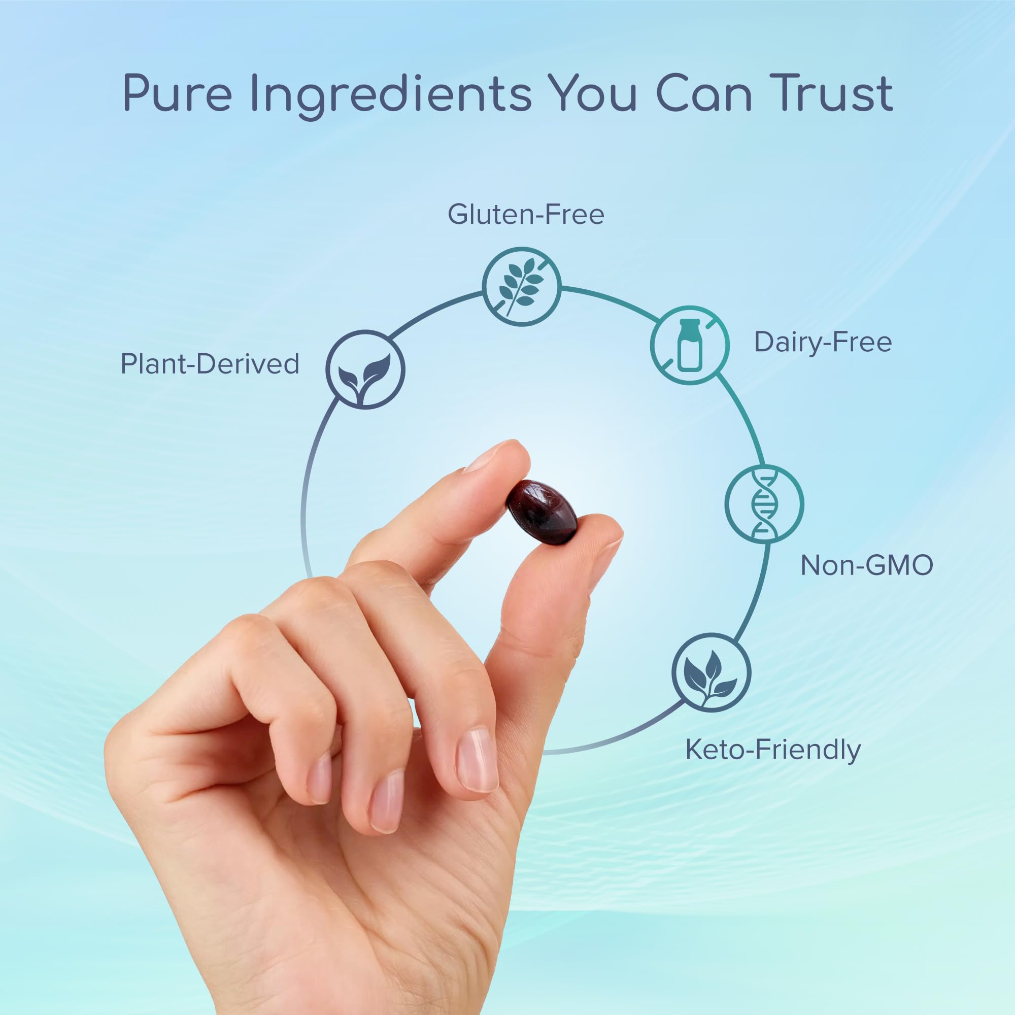 Lightbody Lutein Eye Wellness Supplement ingredients list