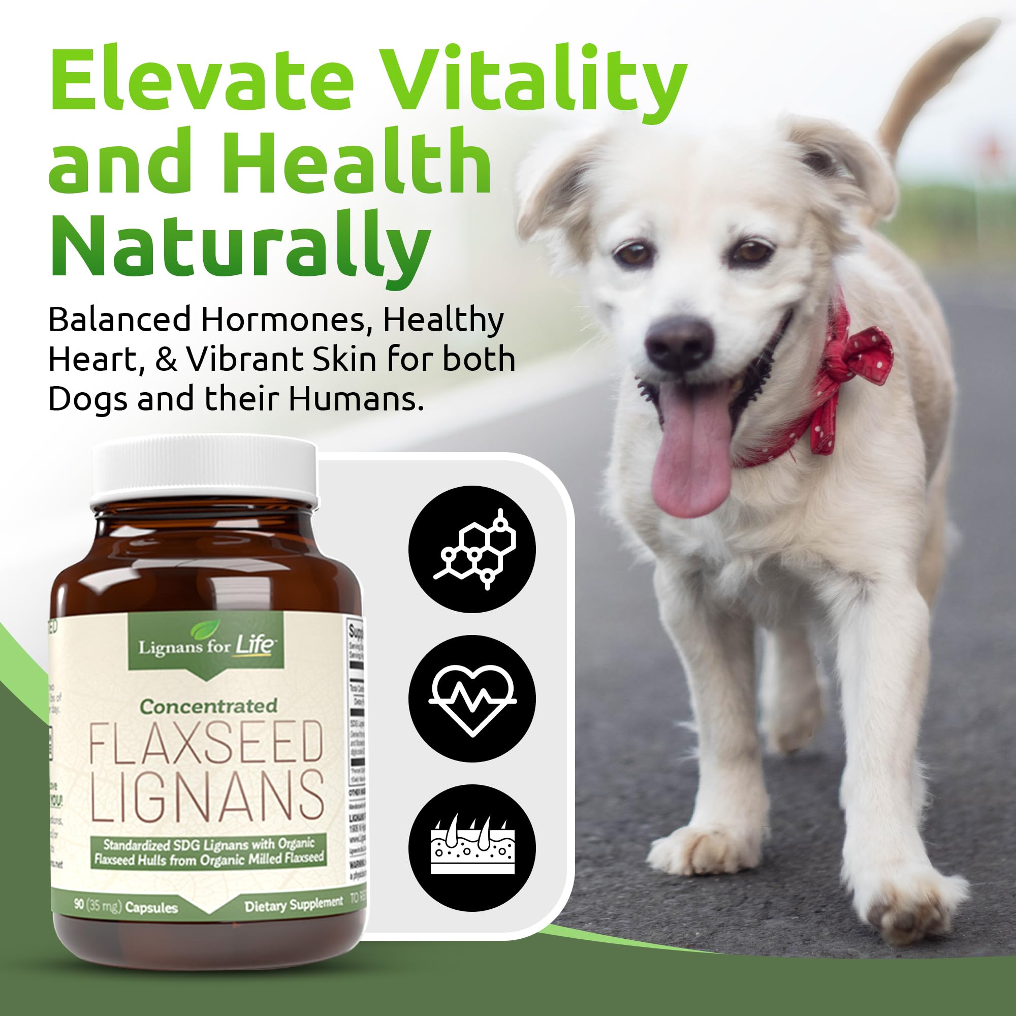 Lignans For Life Flaxseed Lignans Capsules back view with ingredient list