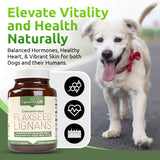 Lignans For Life Flaxseed Lignans Capsules back view with ingredient list