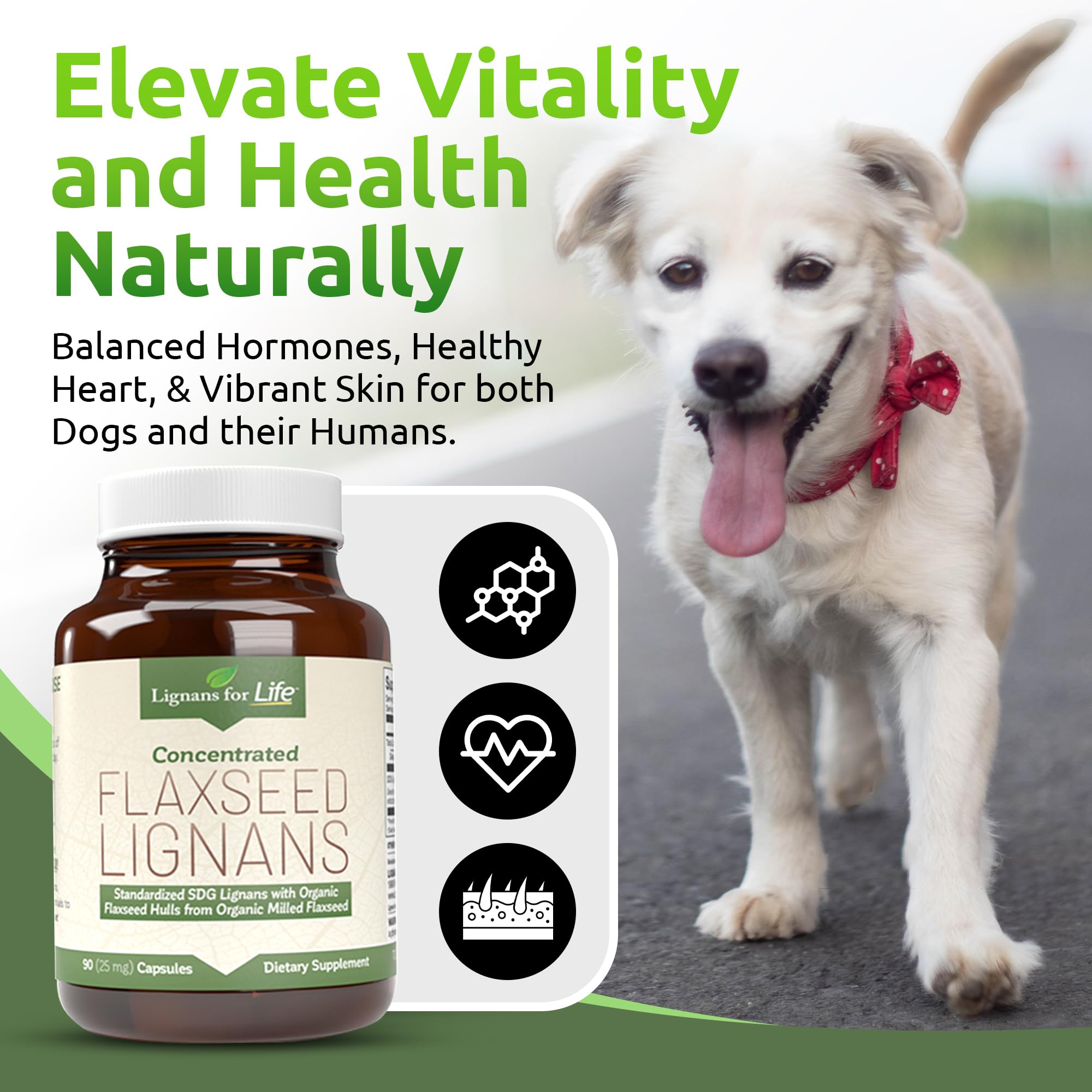 Lignans For Life Flaxseed Lignans Capsules bottle with label