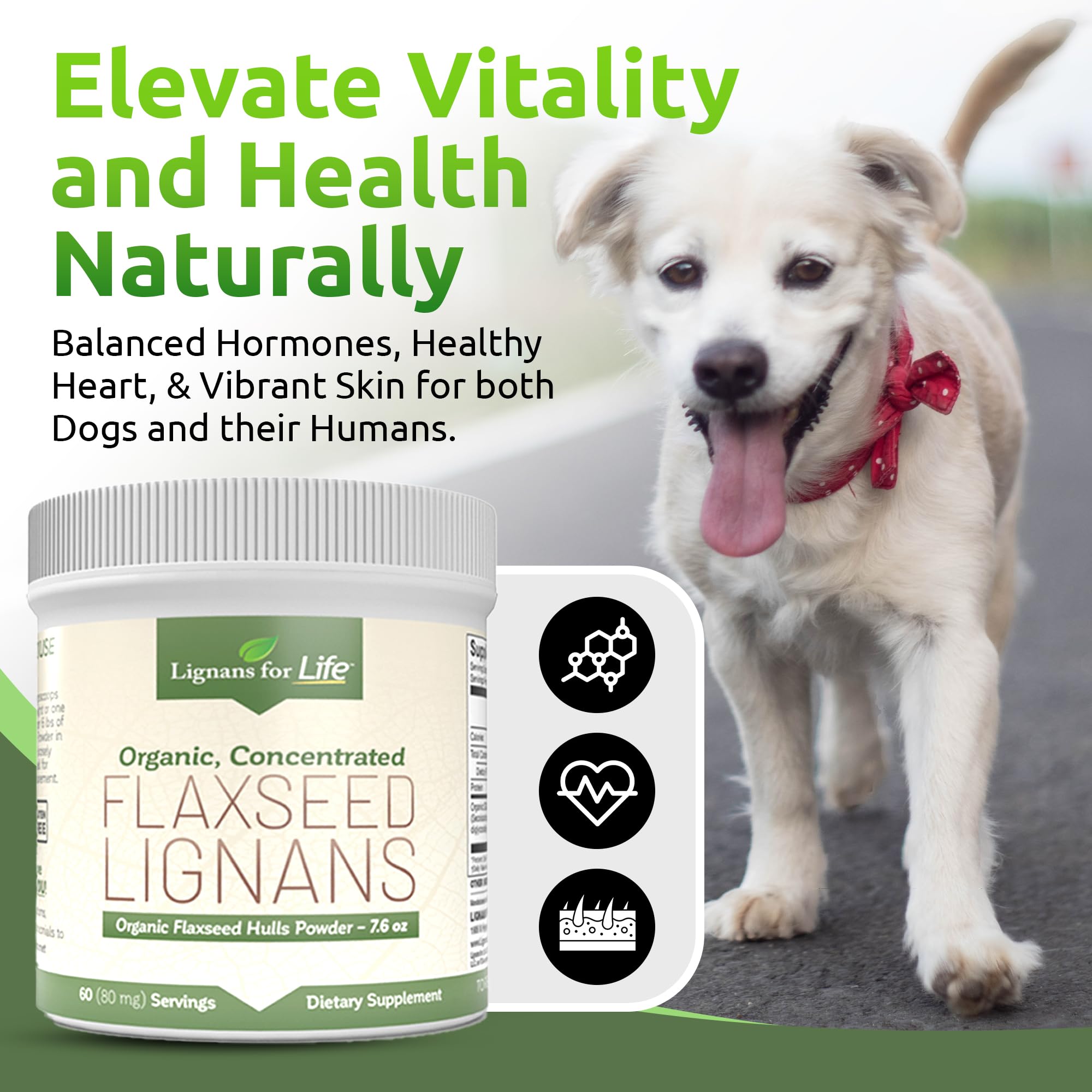 Lignans For Life Organic Flaxseed Powder scoop with powder