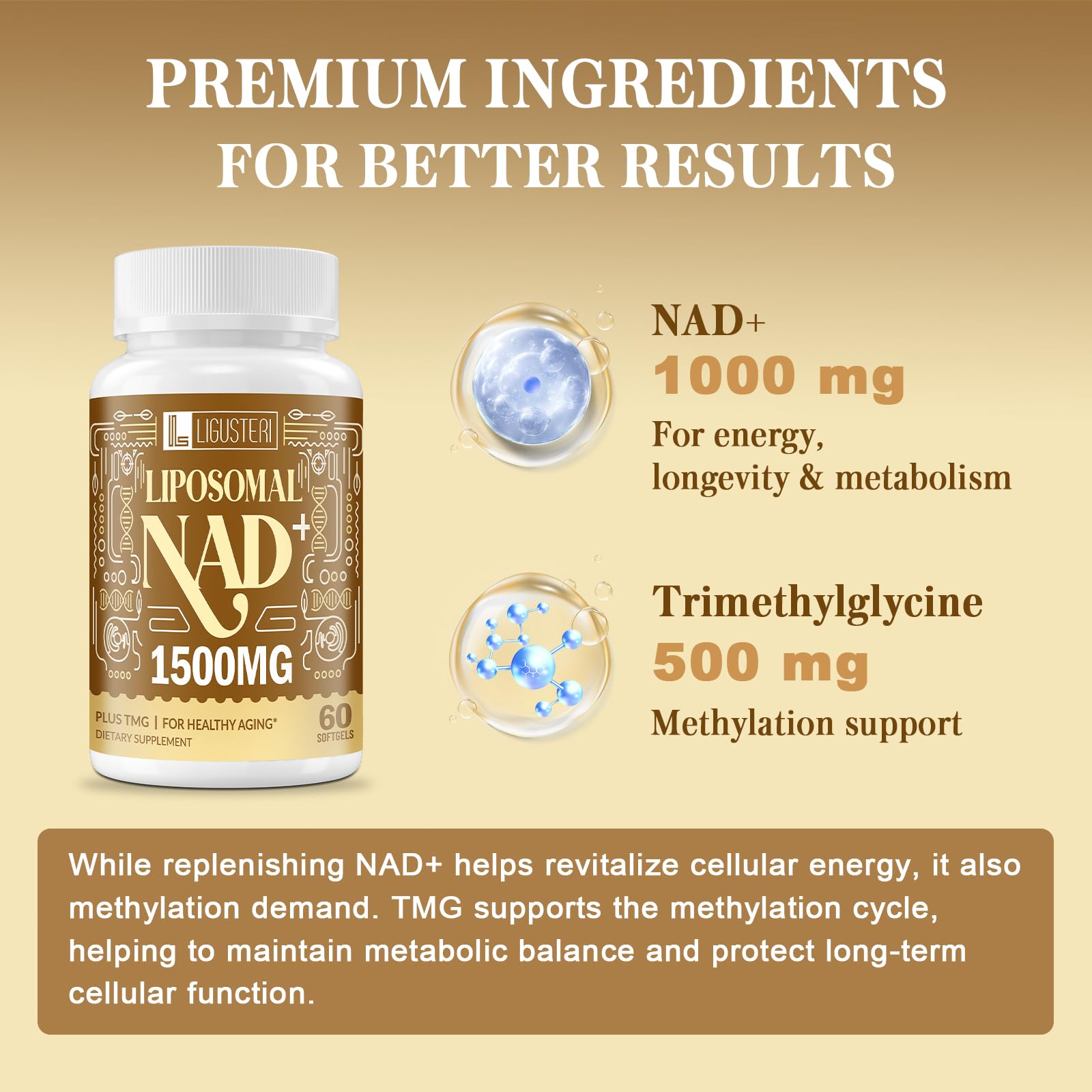 LIGUSTERI Liposomal NAD+ with TMG 500mg ingredients list