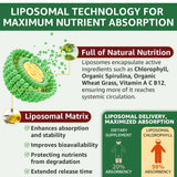 LILICARE Chlorophyll 6-IN-1 Super Greens Supplement with mint leaves