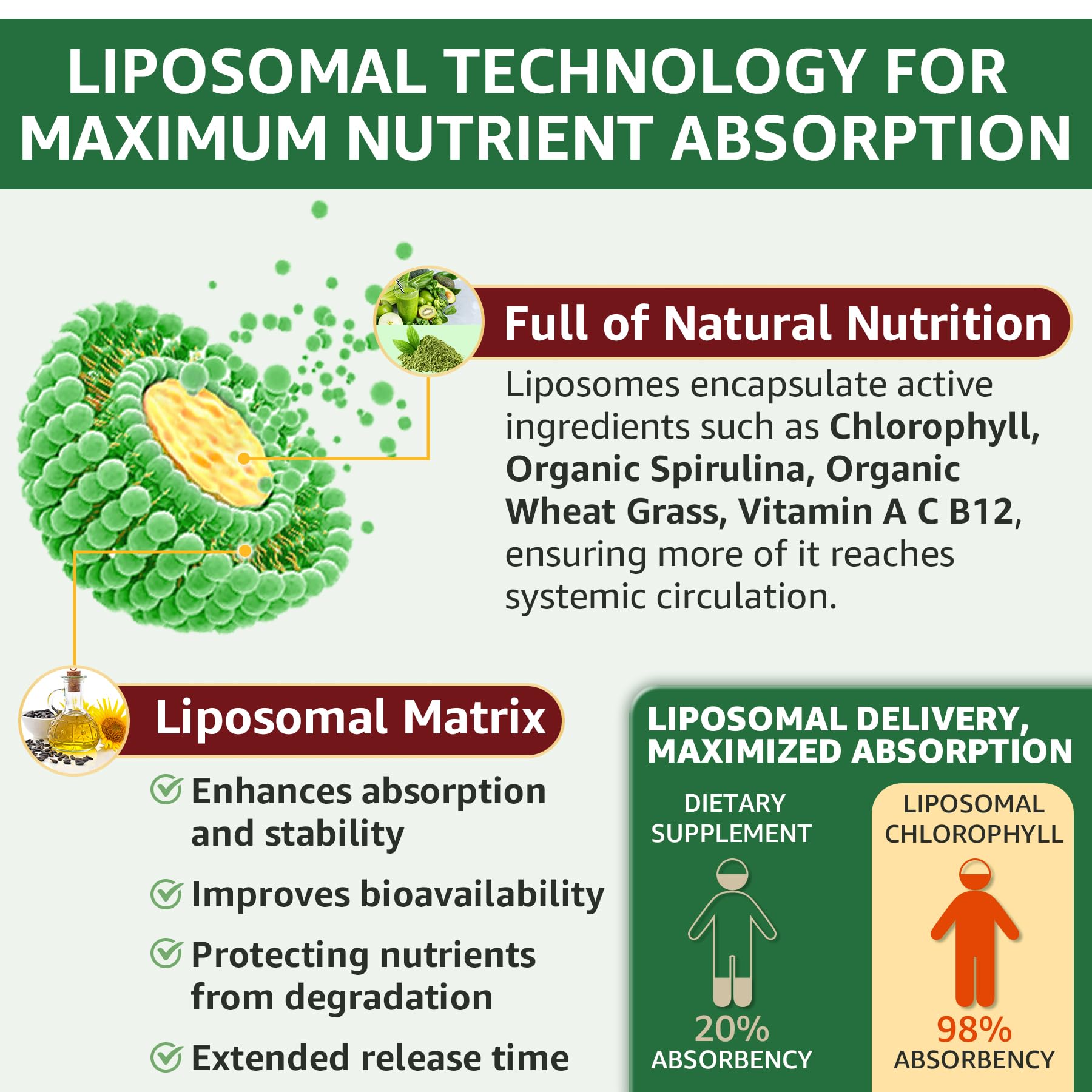 LILICARE Chlorophyll Super Greens Supplement ingredients list