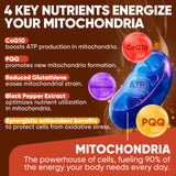 LILICARE CoQ10 softgels side view