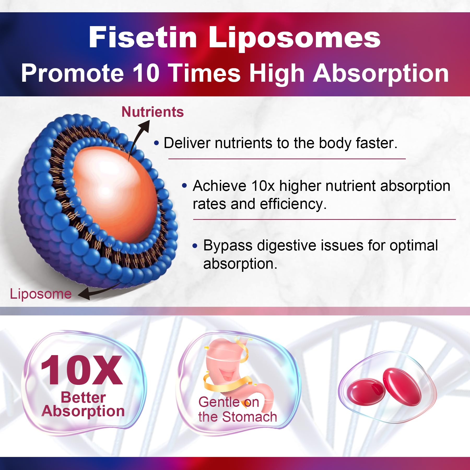 LILICARE Fisetin Softgels side view showing capsule