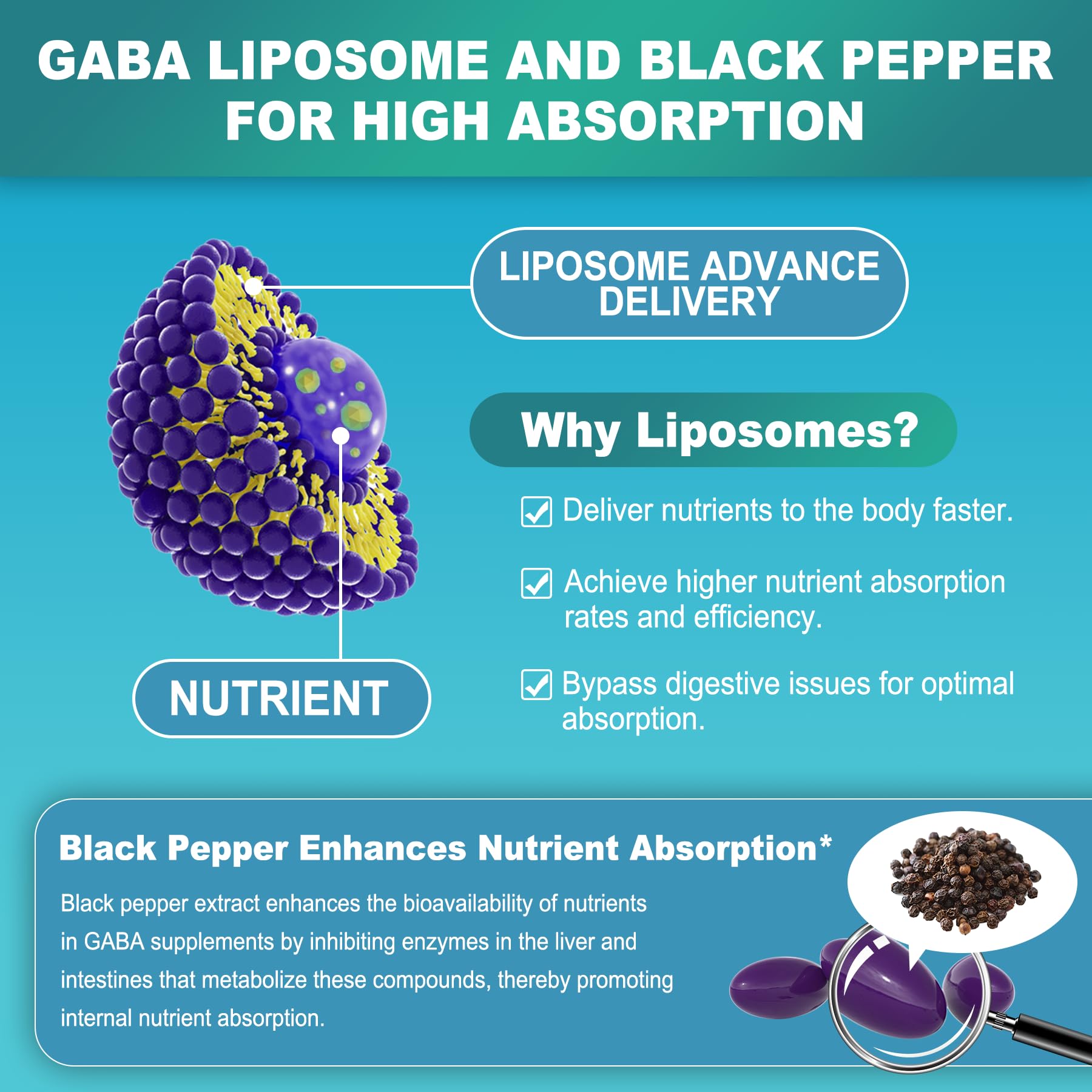 LILICARE GABA Supplement 1000mg softgels in hand