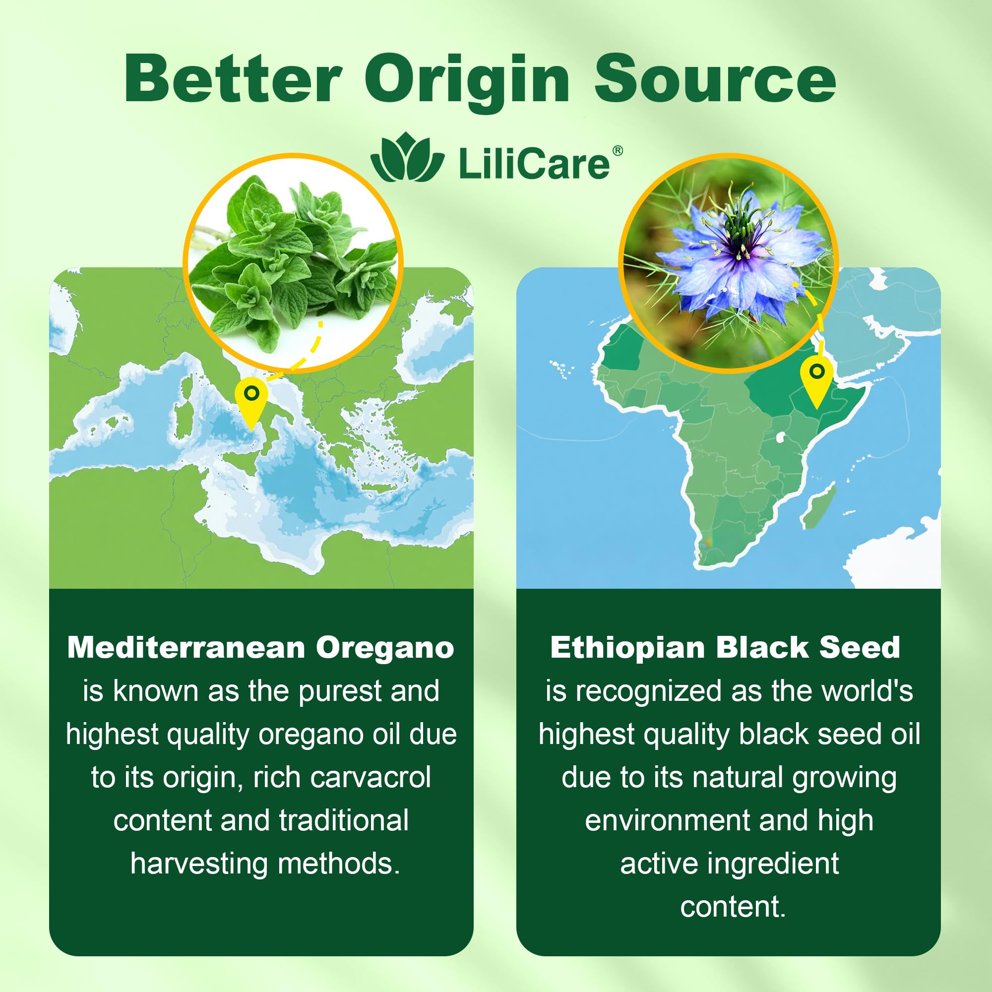 LILICARE Oregano Oil + Black Seed Oil Gummies side view