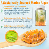LILICARE Vegan Omega 3 Gummies side view of packaging