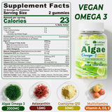 LILICARE Vegan Omega-3 Supplement gummy texture close-up
