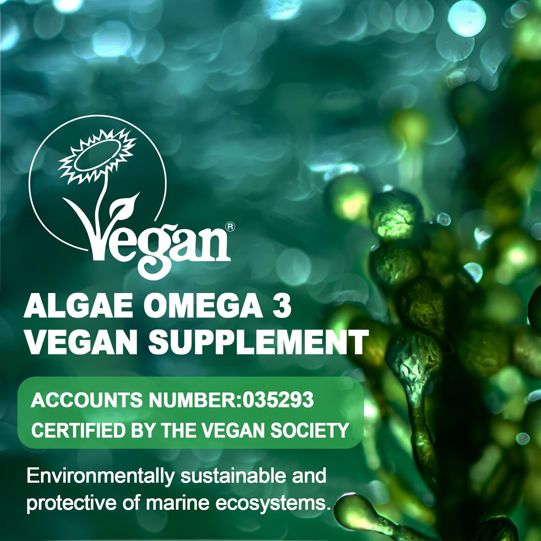 LILICARE Vegan Omega-3 Supplement ingredients list