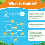 LILICARE Zeolite Gummies nutritional information on back