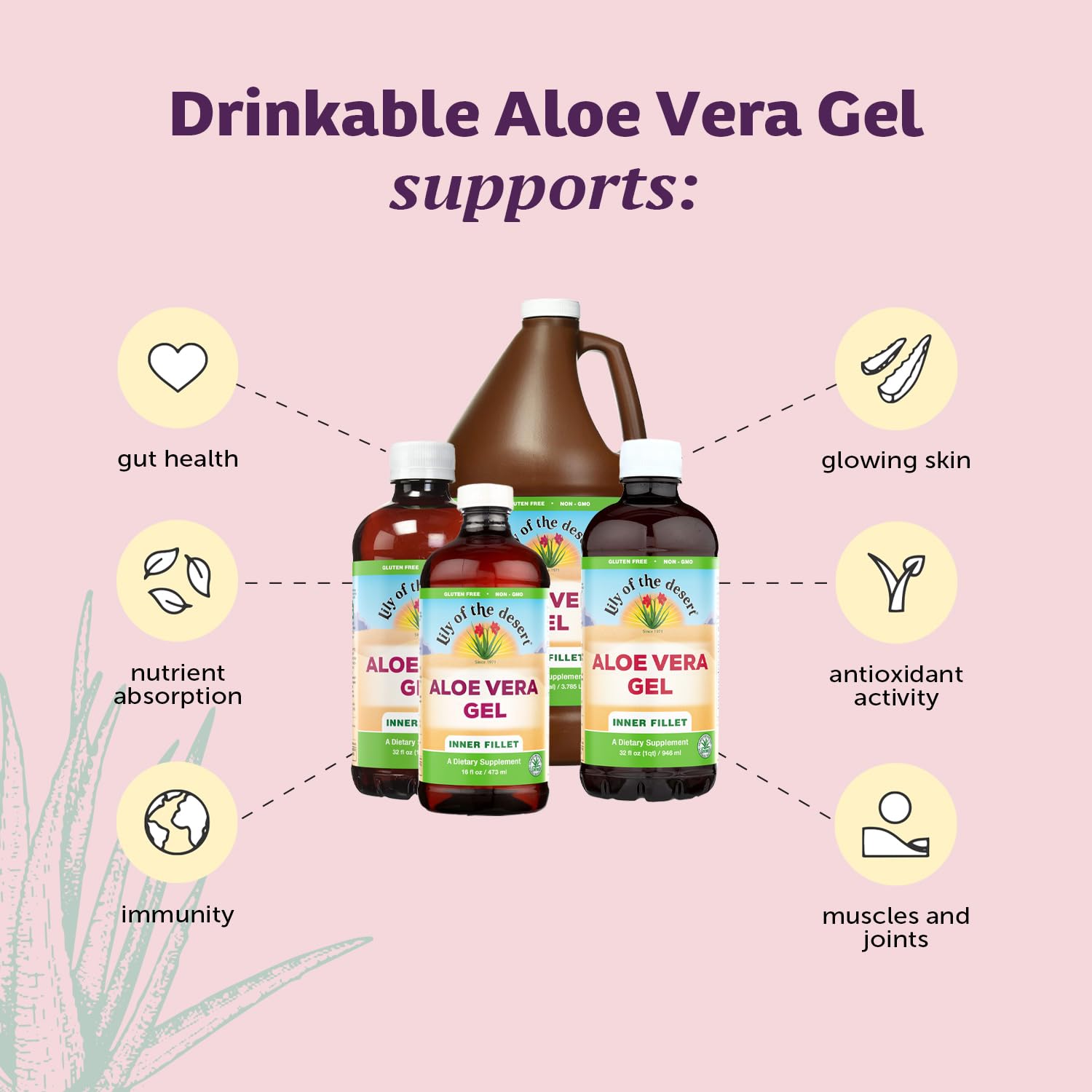 Lily Of The Desert Aloe Vera Gel 1080g side view