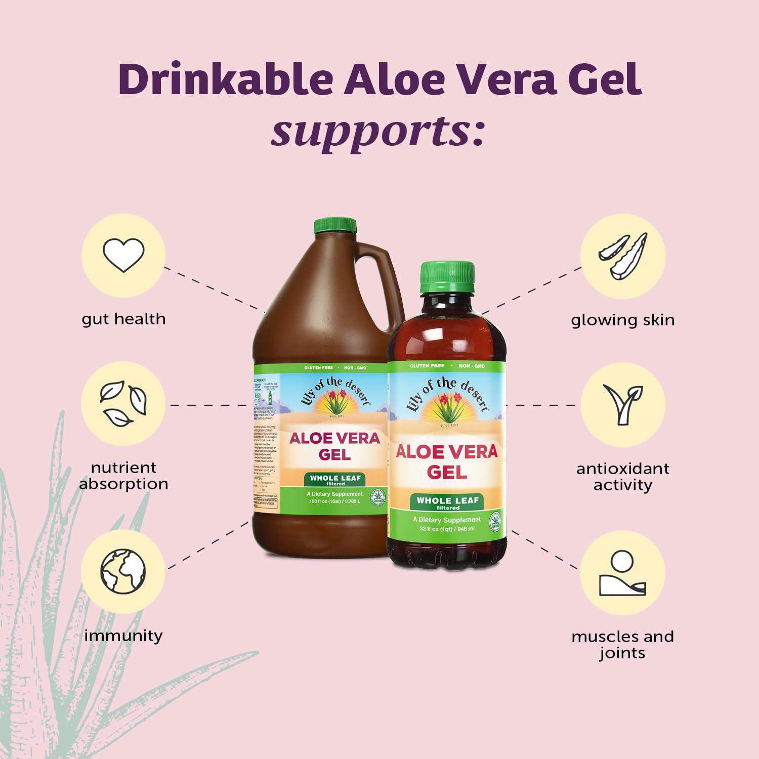 Lily Of The Desert Aloe Vera Gel Juice 404g label close-up