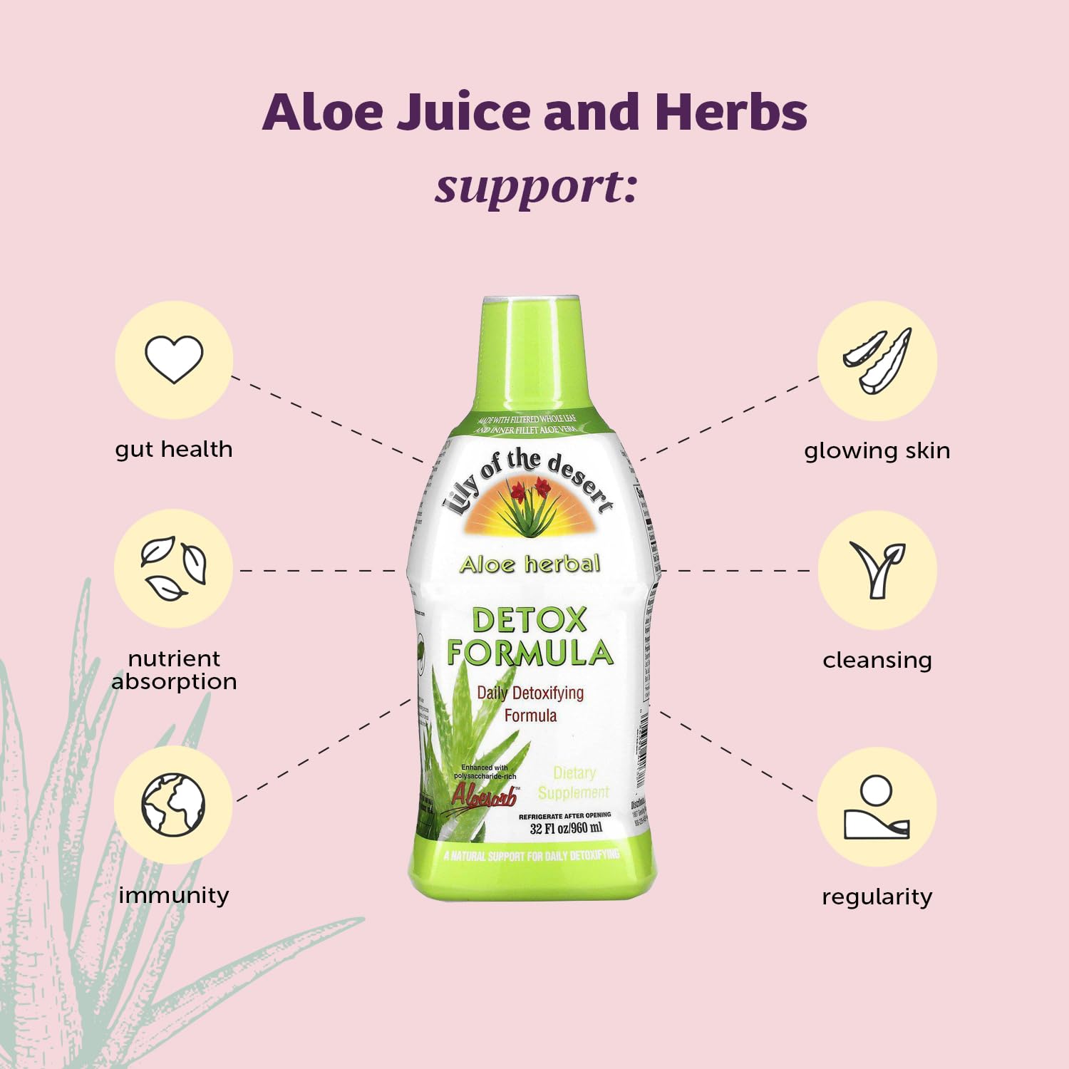 Lily Of The Desert Aloe Vera Herbal Formula back view