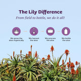 Lily Of The Desert Aloe Vera Herbal Formula on a kitchen counter