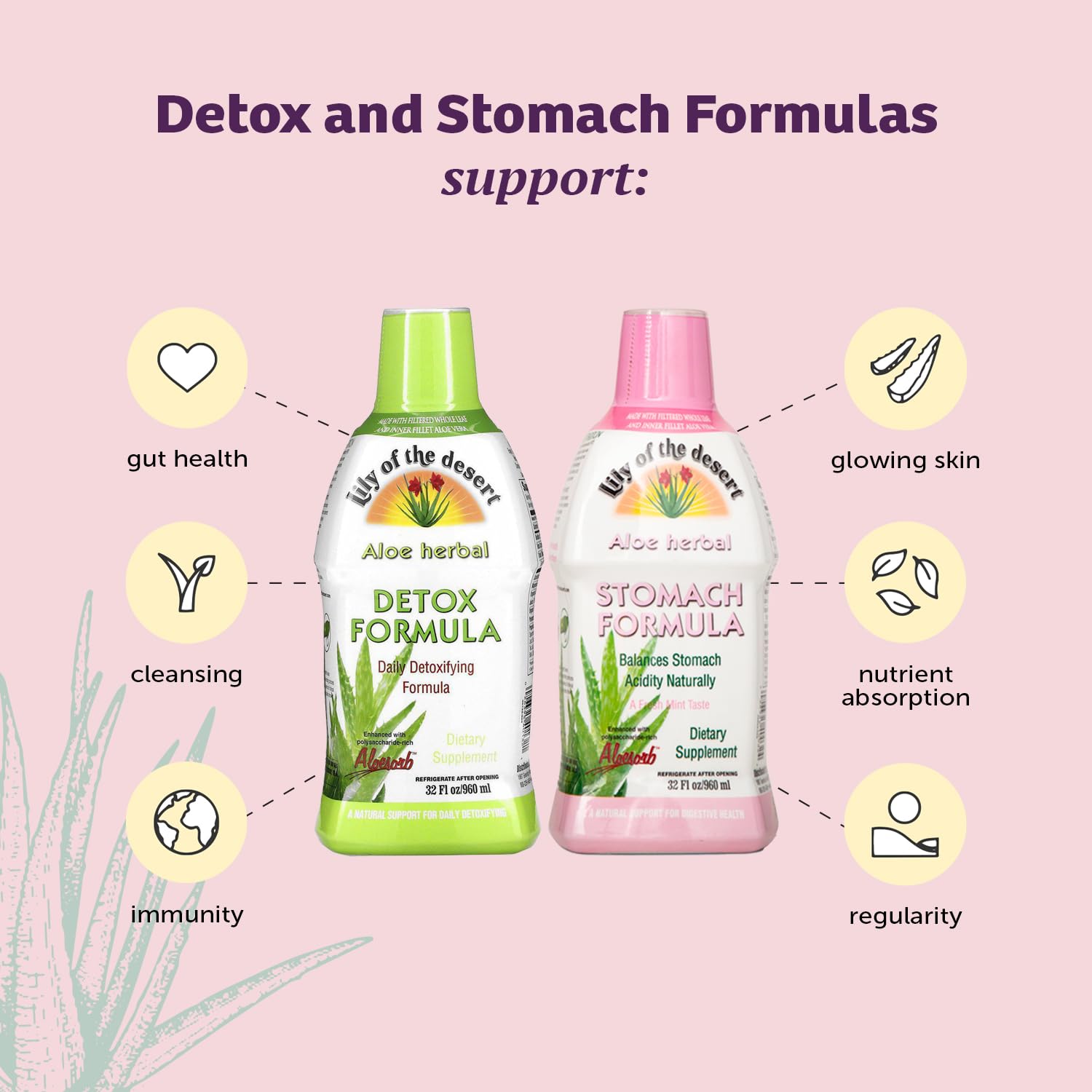 Lily Of The Desert Aloe Vera Herbal Stomach Formula bottle