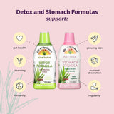 Lily Of The Desert Aloe Vera Herbal Stomach Formula bottle