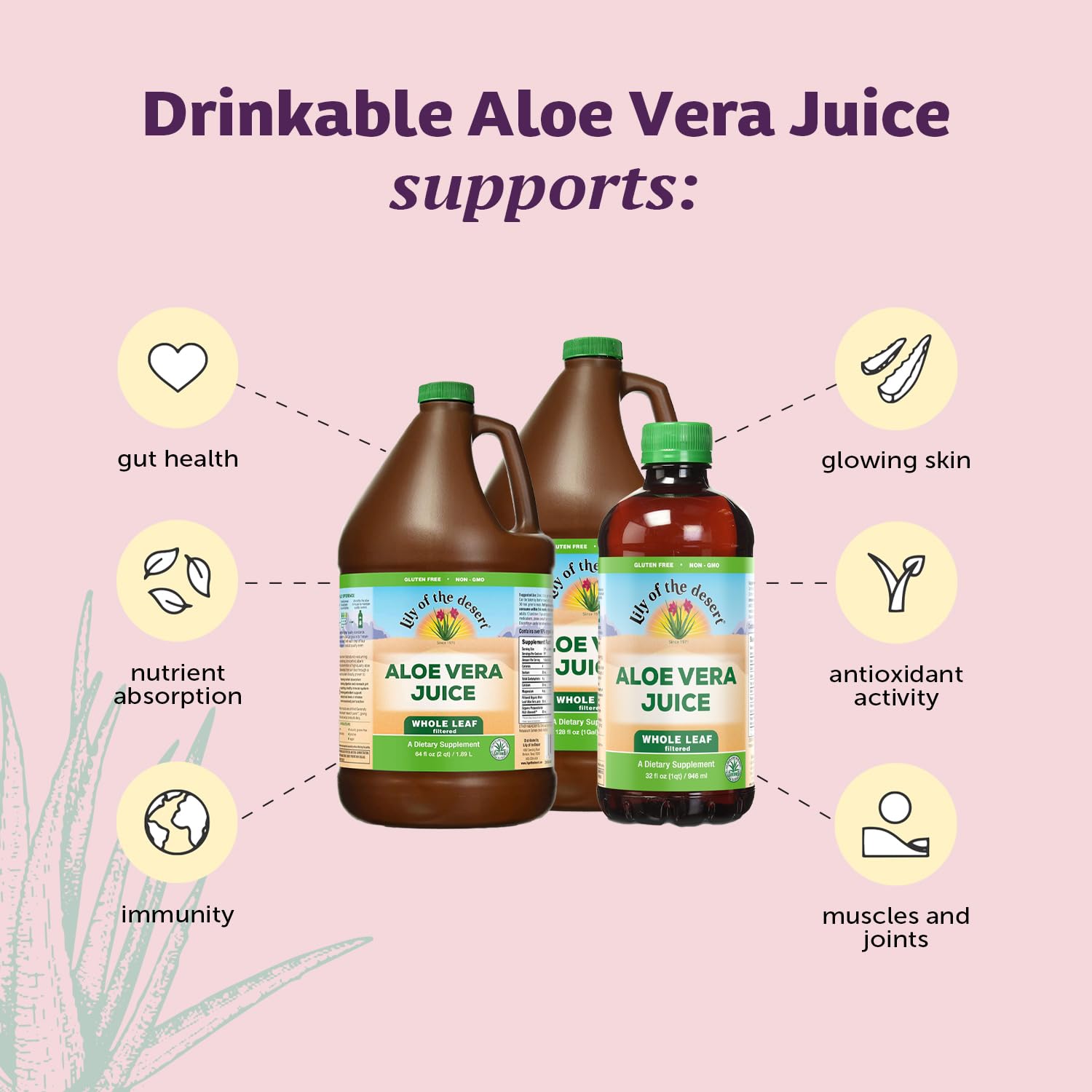 Lily Of The Desert Aloe Vera Juice with fresh aloe leaves