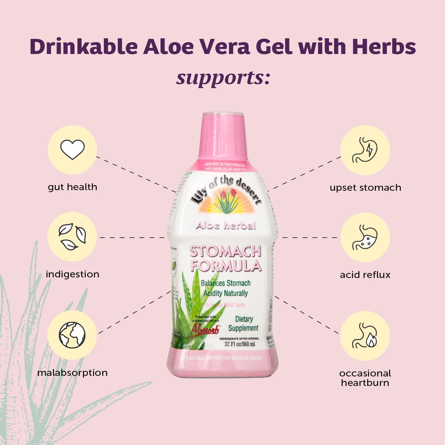 Lily Of The Desert Aloe Vera Stomach Formula side view showing packaging