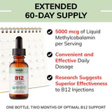 LIMELIGHT HERBALS Vitamin B12 liquid drops in a measuring spoon