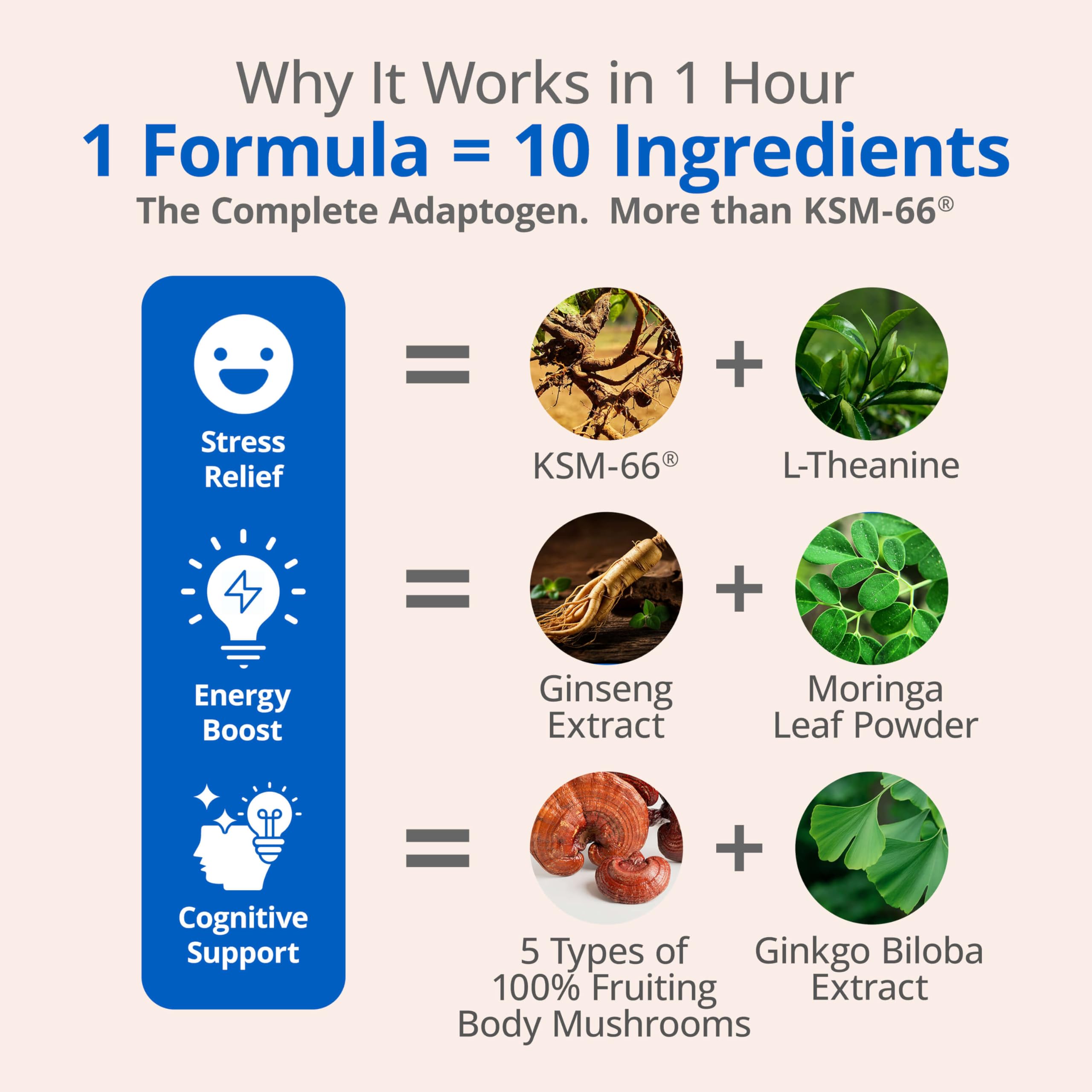 LincNutri Ashwagandha 10-in-1 Adaptogen Blend capsule close-up