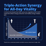 LincNutri Cellular Energy Blend supplement side view