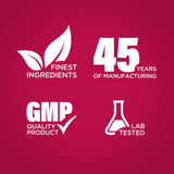 Lindberg MSM Daily Capsules 1000mg capsules on a surface