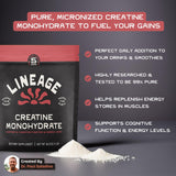 Lineage Provisions Micronized Creatine Monohydrate 490g side view