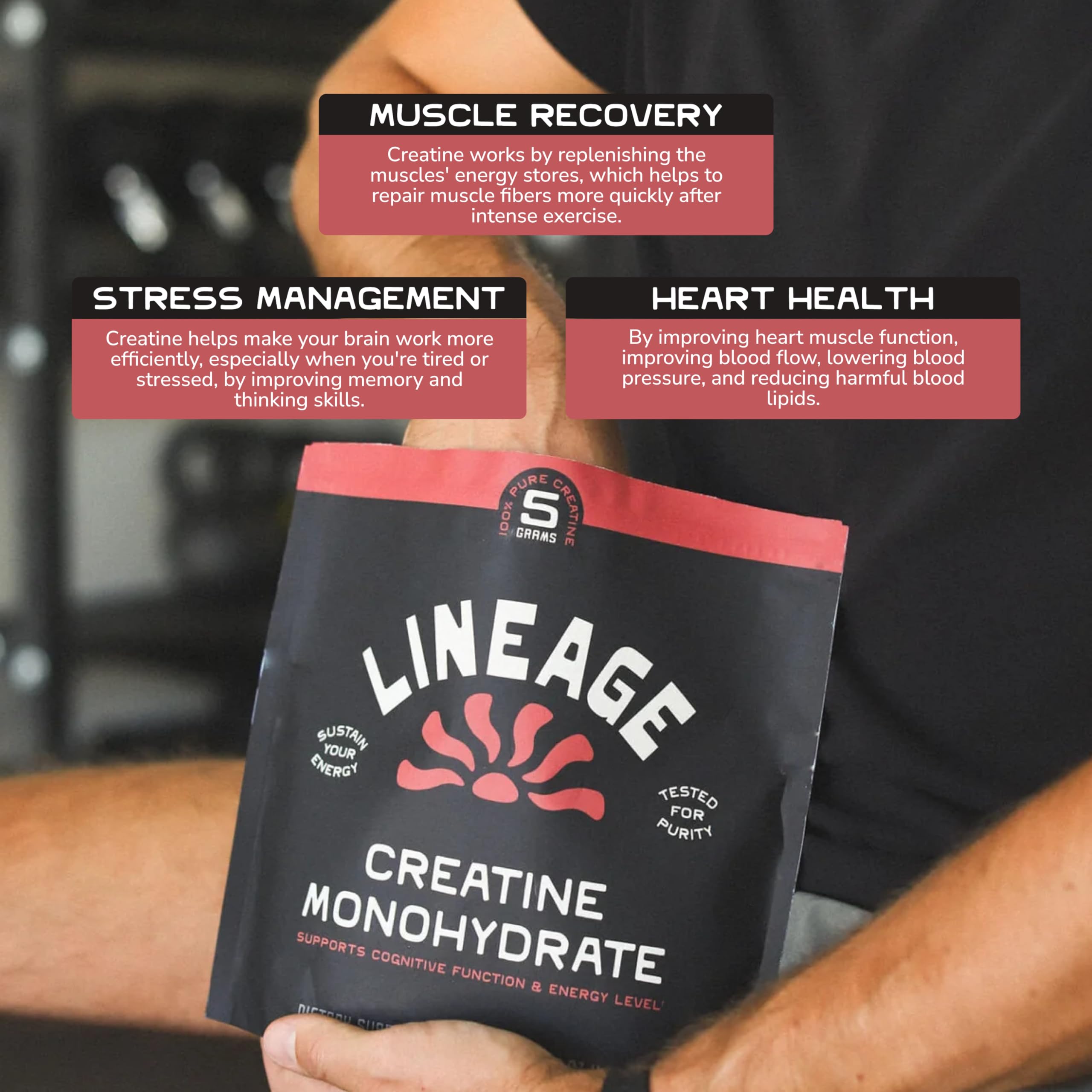Lineage Provisions Micronized Creatine Monohydrate in a smoothie