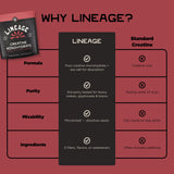 Lineage Provisions Micronized Creatine Monohydrate mixed in water