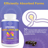 lipmaxmall Alpha Lipoic Acid 1500mg Softgels close-up of softgel